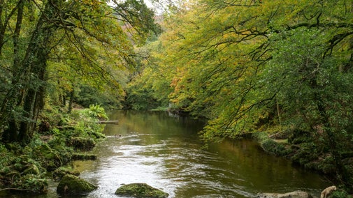 A view up the River Teign seen from the gorge walk at Castle Drogo, Devon in autumn